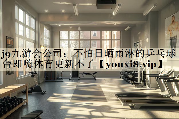 j9九游會(huì)公司:不怕日曬雨淋的乒乓球臺(tái)即嗨體育更新不了
