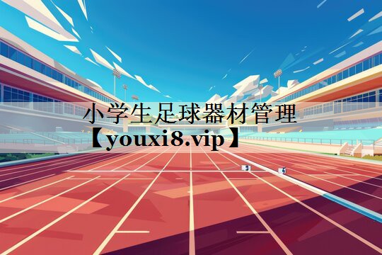 小學(xué)生足球器材管理