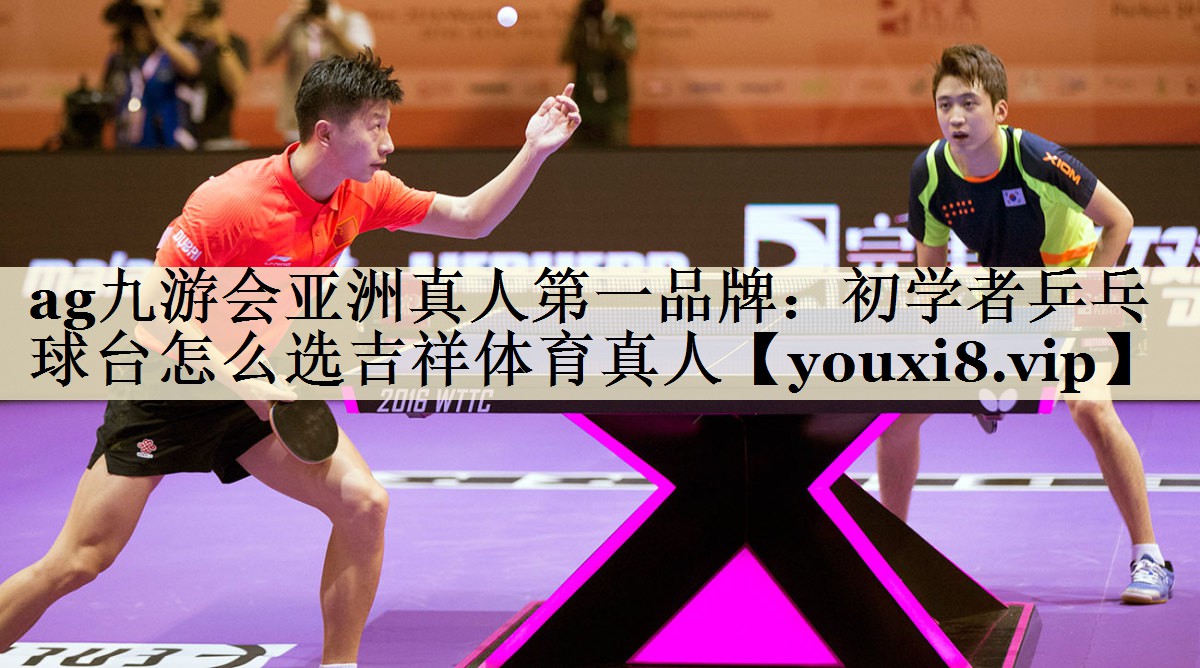 ag九游會亞洲真人第一品牌：初學者乒乓球臺怎么選吉祥體育真人