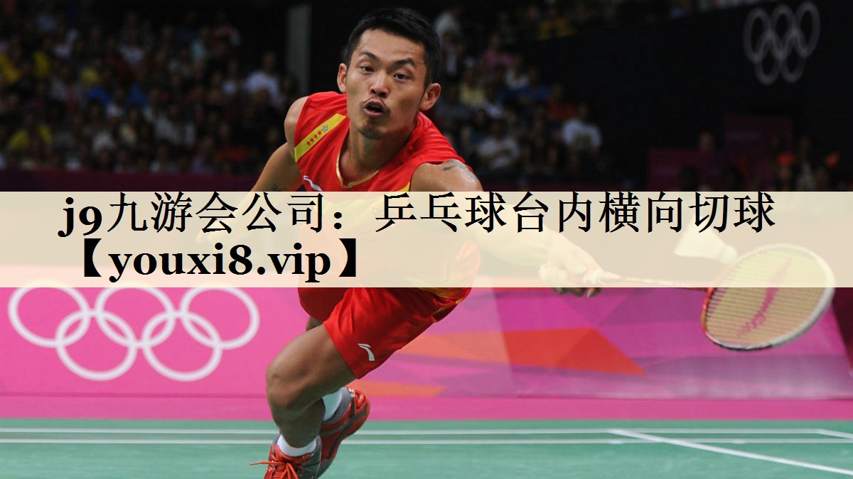j9九游會(huì)公司：乒乓球臺(tái)內(nèi)橫向切球