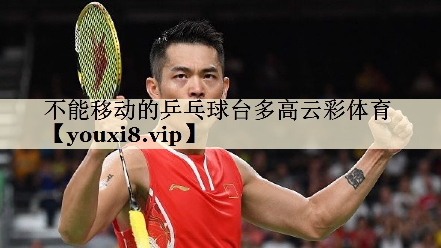 不能移動的乒乓球臺多高云彩體育