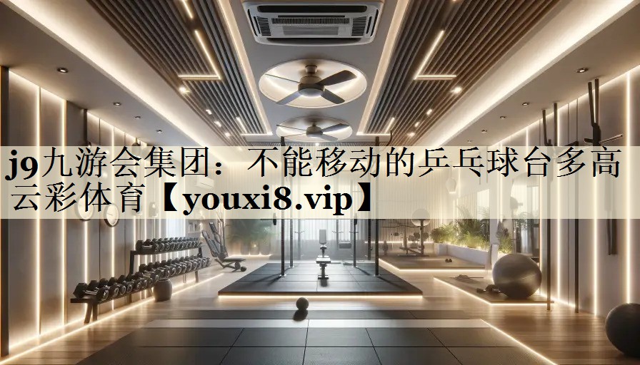 j9九游會(huì)集團(tuán)：不能移動(dòng)的乒乓球臺(tái)多高云彩體育