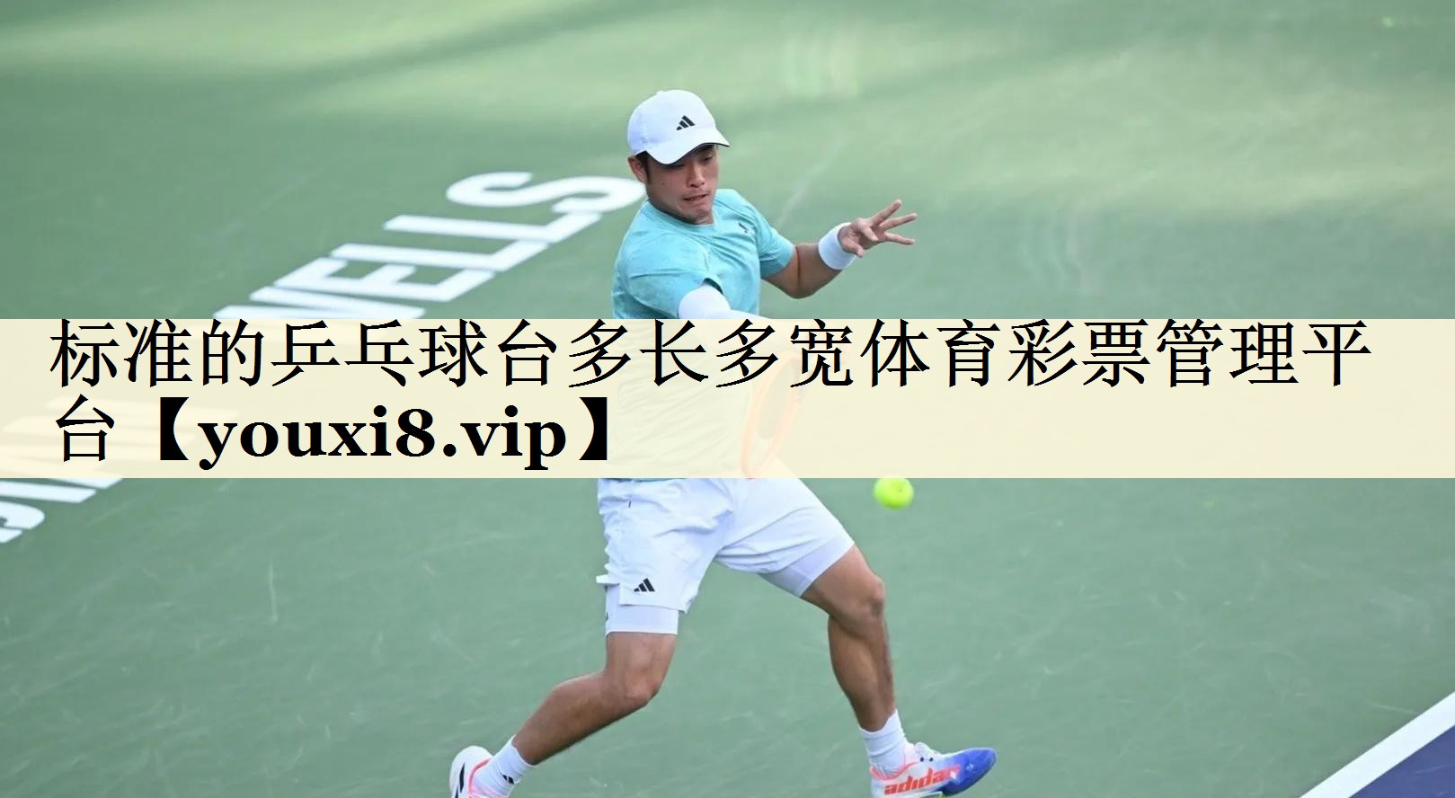 標(biāo)準(zhǔn)的乒乓球臺多長多寬體育彩票管理平臺