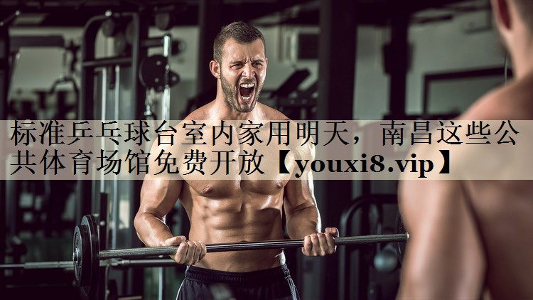 標準乒乓球臺室內(nèi)家用明天，南昌這些公共體育場館免費開放