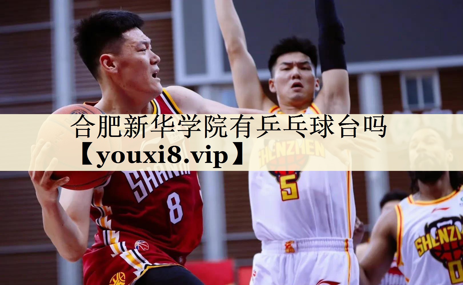 合肥新華學(xué)院有乒乓球臺嗎