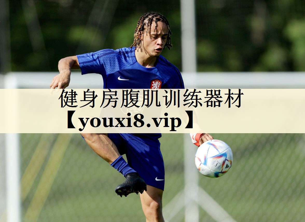 健身房腹肌訓(xùn)練器材