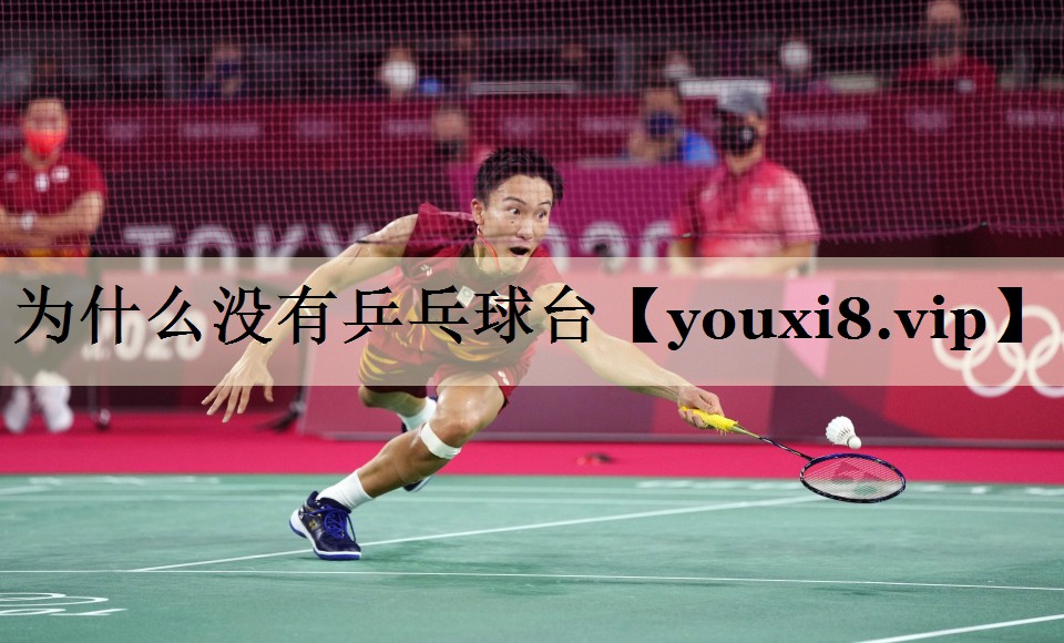 為什么沒有乒乓球臺