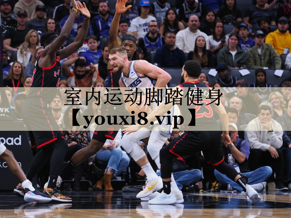 室內(nèi)運(yùn)動(dòng)腳踏健身