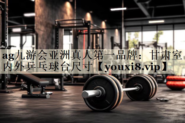 甘肅室內(nèi)外乒乓球臺(tái)尺寸