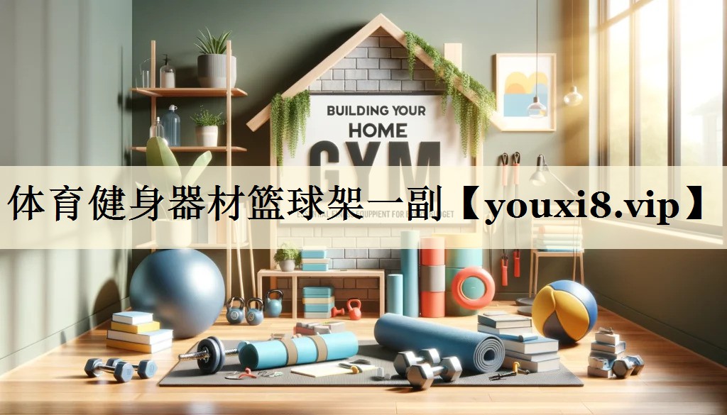 體育健身器材籃球架一副
