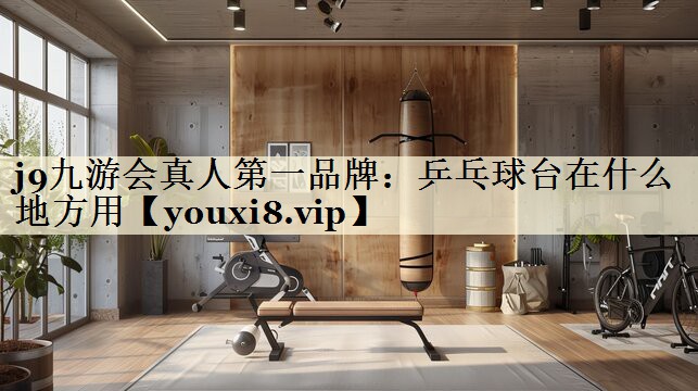 乒乓球臺在什么地方用