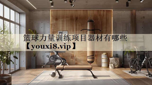 籃球力量訓(xùn)練項目器材有哪些